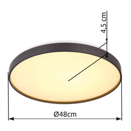 Globo - LED Ceiling light LED/24W/230V d. 48 cm anthracite