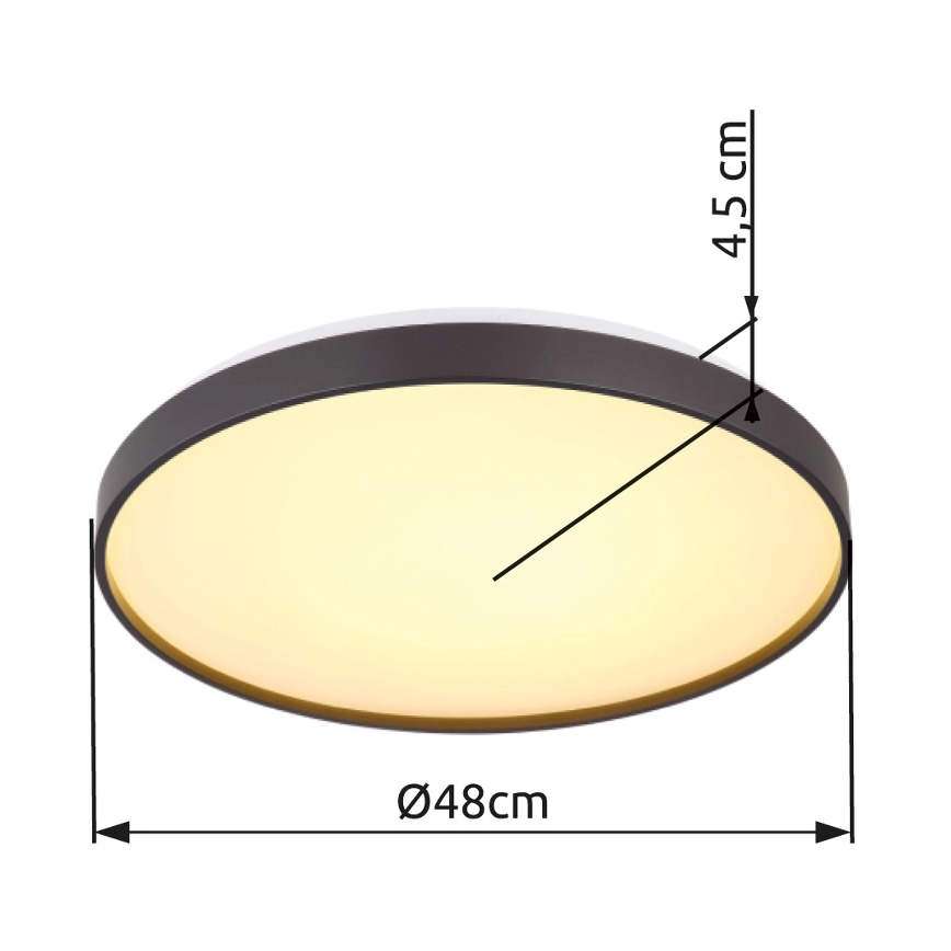 Globo - LED Ceiling light LED/24W/230V d. 48 cm anthracite