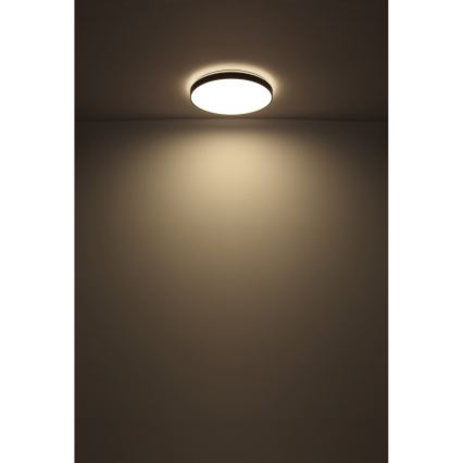 Globo - LED Ceiling light LED/24W/230V