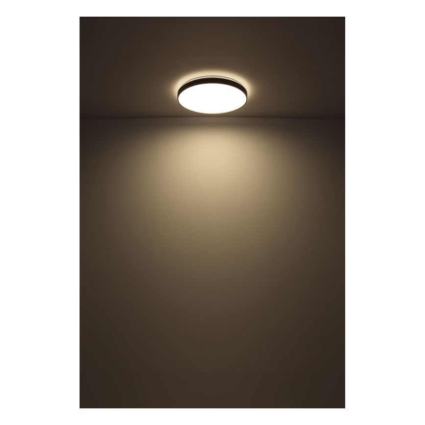 Globo - LED Ceiling light LED/24W/230V