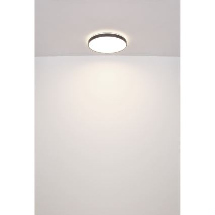 Globo - LED Ceiling light LED/24W/230V