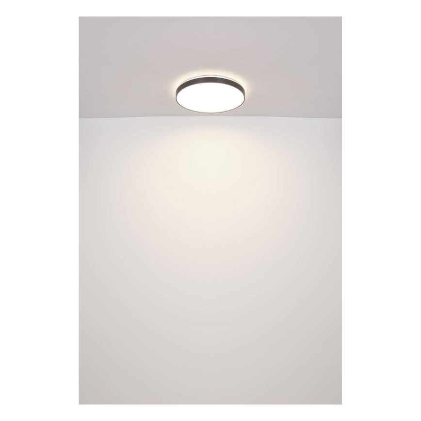Globo - LED Ceiling light LED/24W/230V