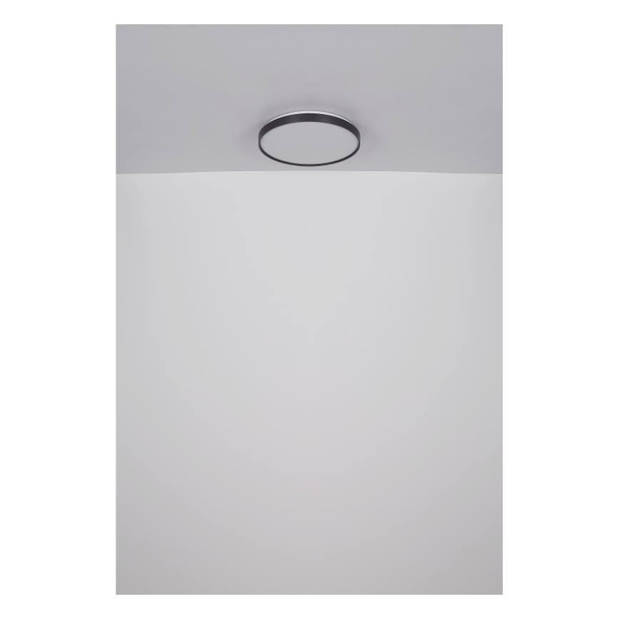 Globo - LED Ceiling light LED/24W/230V