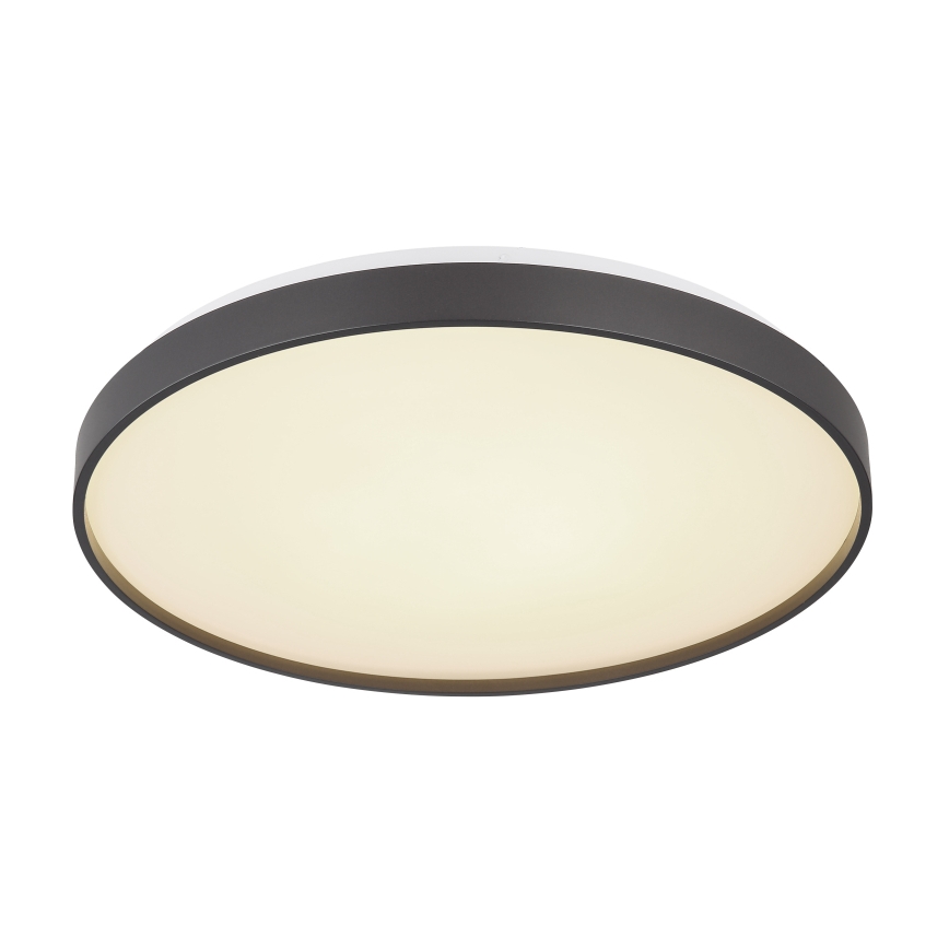 Globo - LED Ceiling light LED/24W/230V