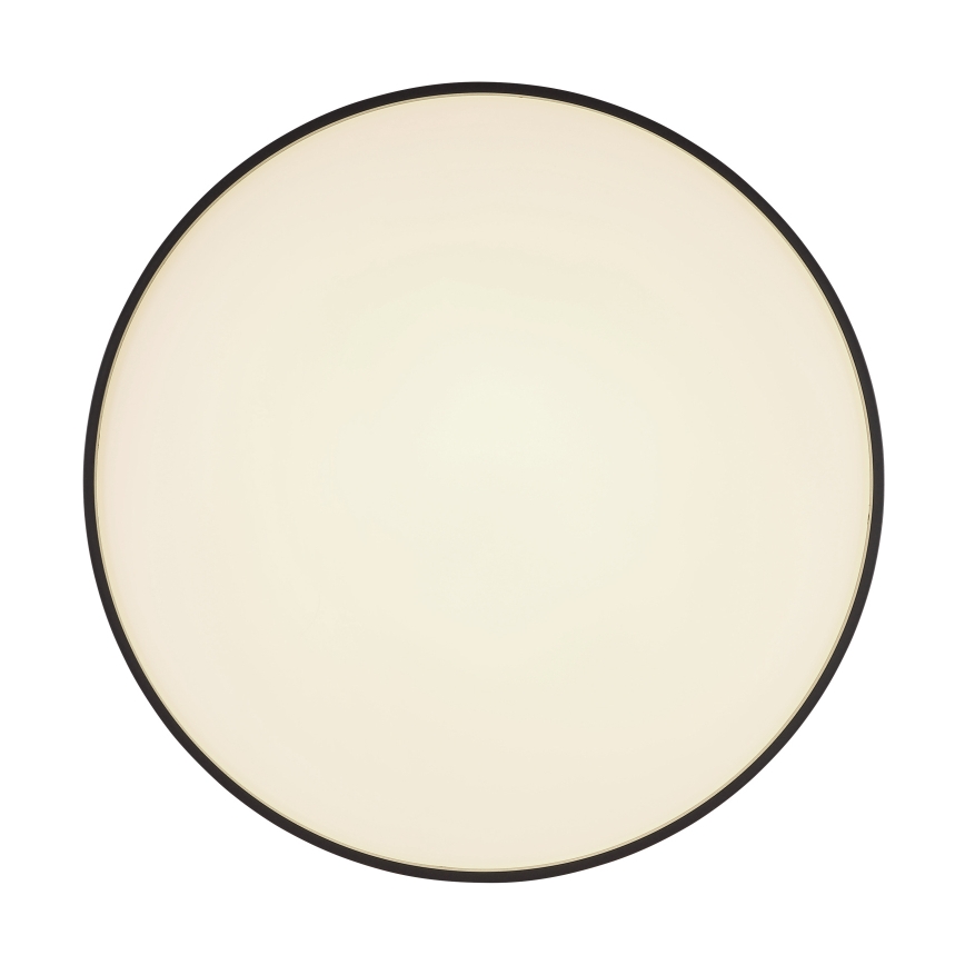 Globo - LED Ceiling light LED/24W/230V