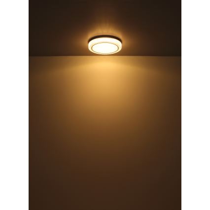 Globo - LED Ceiling light LED/24W/230V d. 40 cm 3000K white
