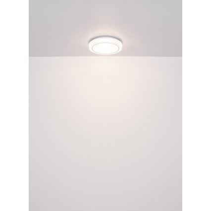 Globo - LED Ceiling light LED/24W/230V d. 40 cm 4000K white