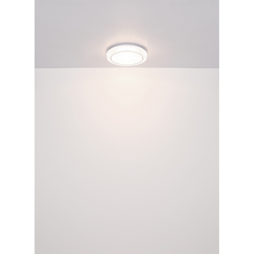 Globo - LED Ceiling light LED/24W/230V d. 40 cm 4000K white
