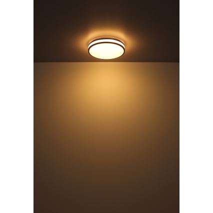 Globo - LED RGBW Dimmable ceiling light LED/18W/230V 2700-6000K + remote control