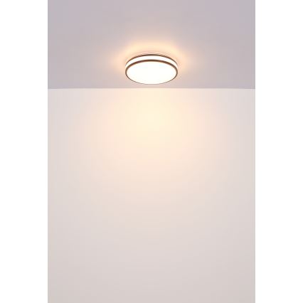 Globo - LED RGBW Dimmable ceiling light LED/18W/230V 2700-6000K + remote control