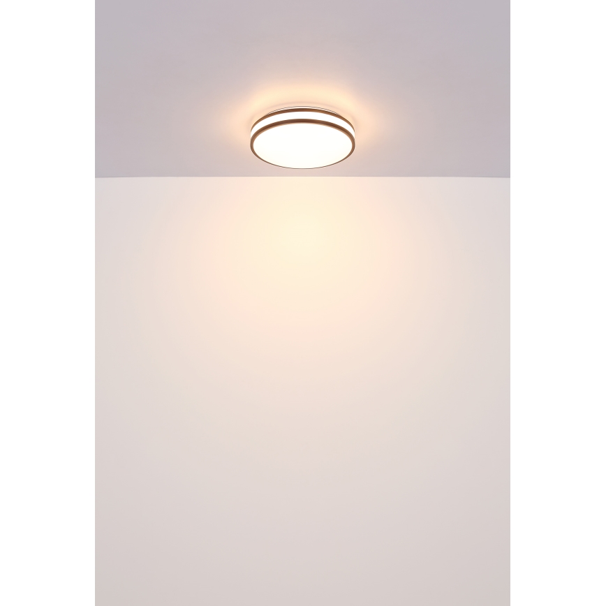 Globo - LED RGBW Dimmable ceiling light LED/18W/230V 2700-6000K + remote control
