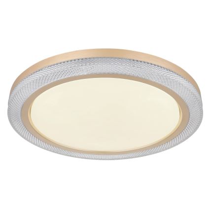 Globo - RGBW Dimmable ceiling light LED/20W/230V 2700-6500K + remote control