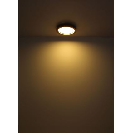 Globo - LED RGBW Dimmable ceiling light LED/24W/230V 2700-6000K + remote control