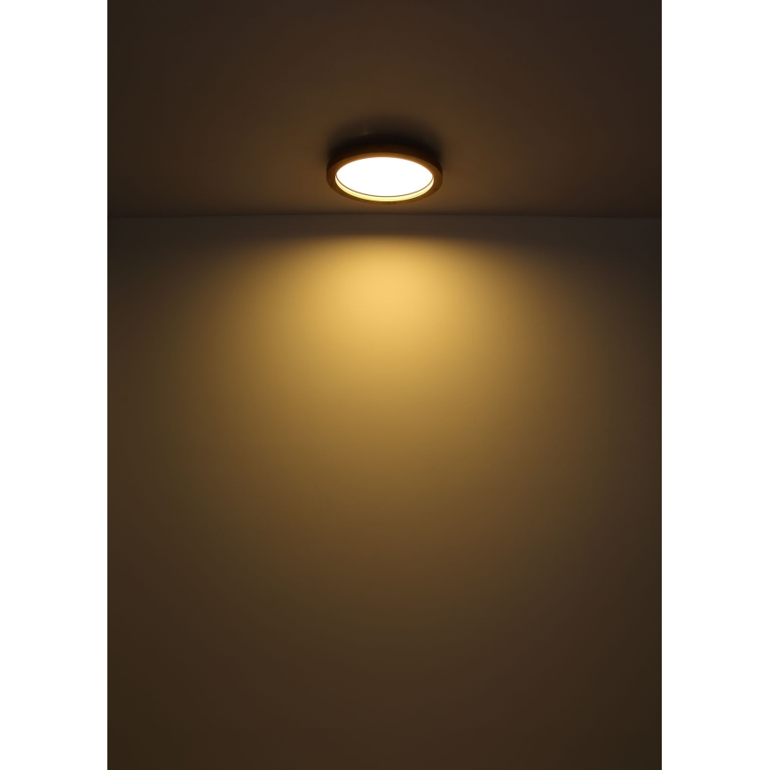 Globo - LED RGBW Dimmable ceiling light LED/24W/230V 2700-6000K + remote control
