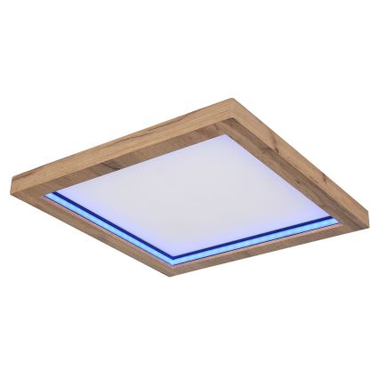 Globo - LED RGBW Dimmable ceiling light LED/24W/230V 2700-6000K + remote control