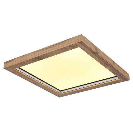 Globo - LED RGBW Dimmable ceiling light LED/24W/230V 2700-6000K + remote control
