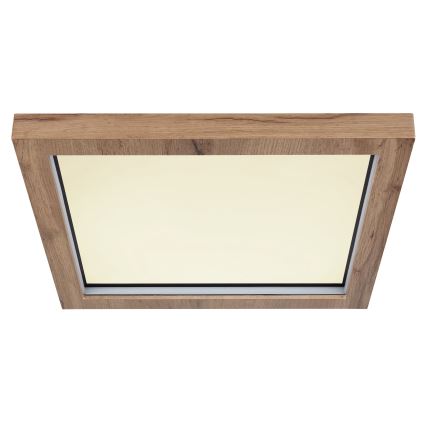 Globo - LED RGBW Dimmable ceiling light LED/24W/230V 2700-6000K + remote control