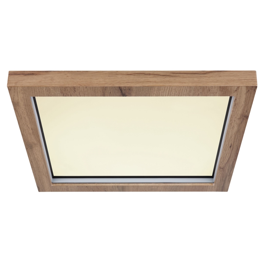 Globo - LED RGBW Dimmable ceiling light LED/24W/230V 2700-6000K + remote control