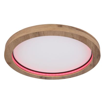 Globo - LED RGBW Dimmable ceiling light LED/24W/230V 2700-6000K + remote control