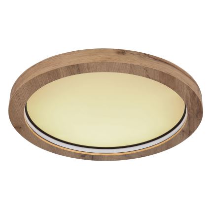Globo - LED RGBW Dimmable ceiling light LED/24W/230V 2700-6000K + remote control