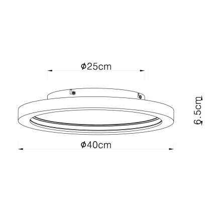 Globo - LED RGBW Dimmable ceiling light LED/24W/230V 2700-6000K + remote control