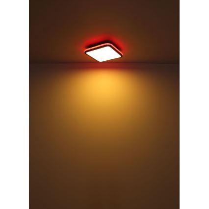 Globo - LED RGBW Dimmable ceiling light LED/40W/230V 2700-6500K + remote control
