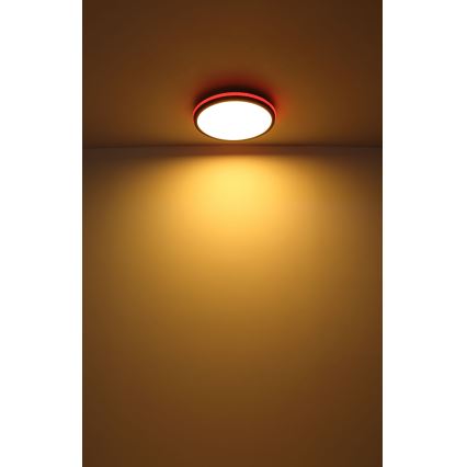 Globo - LED RGBW Dimmable ceiling light LED/40W/230V 2700-6500K + remote control