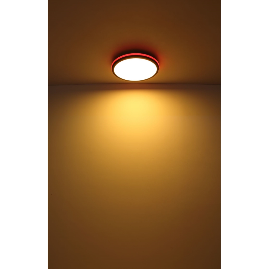 Globo - LED RGBW Dimmable ceiling light LED/40W/230V 2700-6500K + remote control