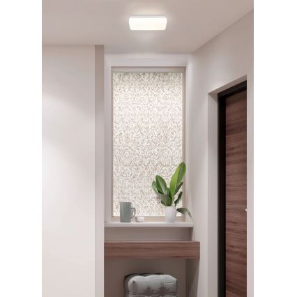 Globo - LED Ceiling Light LED/12W/230V 3000/4200/6500K 28.5x13.5 cm