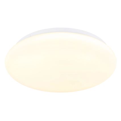 Globo - LED Ceiling Light LED/12W/230V 3000/4200/6500K Ø 26 cm