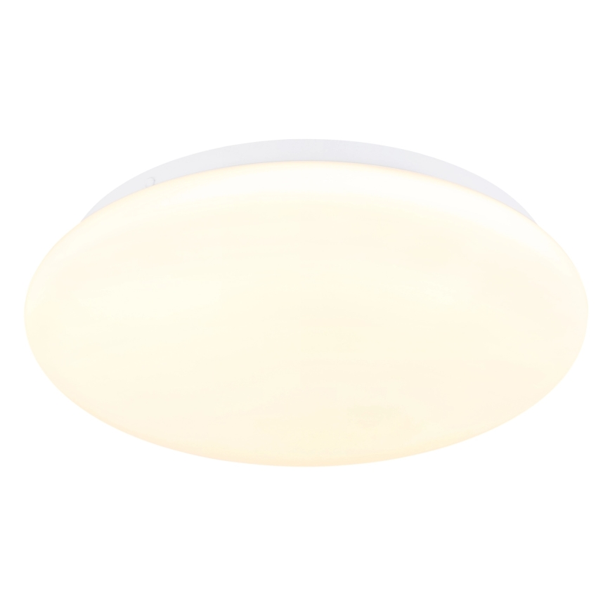 Globo - LED Ceiling Light LED/12W/230V 3000/4200/6500K Ø 26 cm
