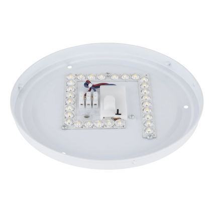 Globo - LED Ceiling Light LED/12W/230V 3000/4200/6500K Ø 26 cm
