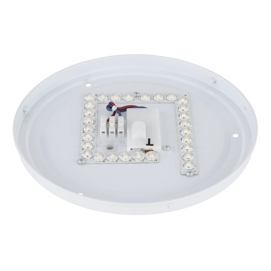 Globo - LED Ceiling Light LED/12W/230V 3000/4200/6500K Ø 26 cm