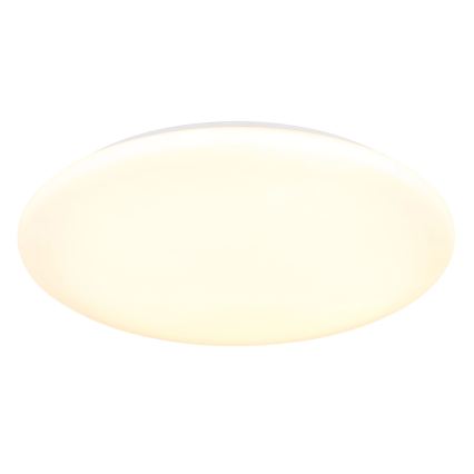 Globo - LED Ceiling light LED/24W/230V 3000/4200/6500K Ø 40 cm