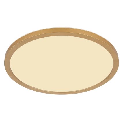 Globo - LED Dimmable bathroom ceiling light LED/18W/230V 3000K IP44 d. 29,4 cm brass