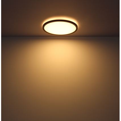 Globo - LED Dimmable bathroom ceiling light LED/24W/230V d. 42 cm IP44 black