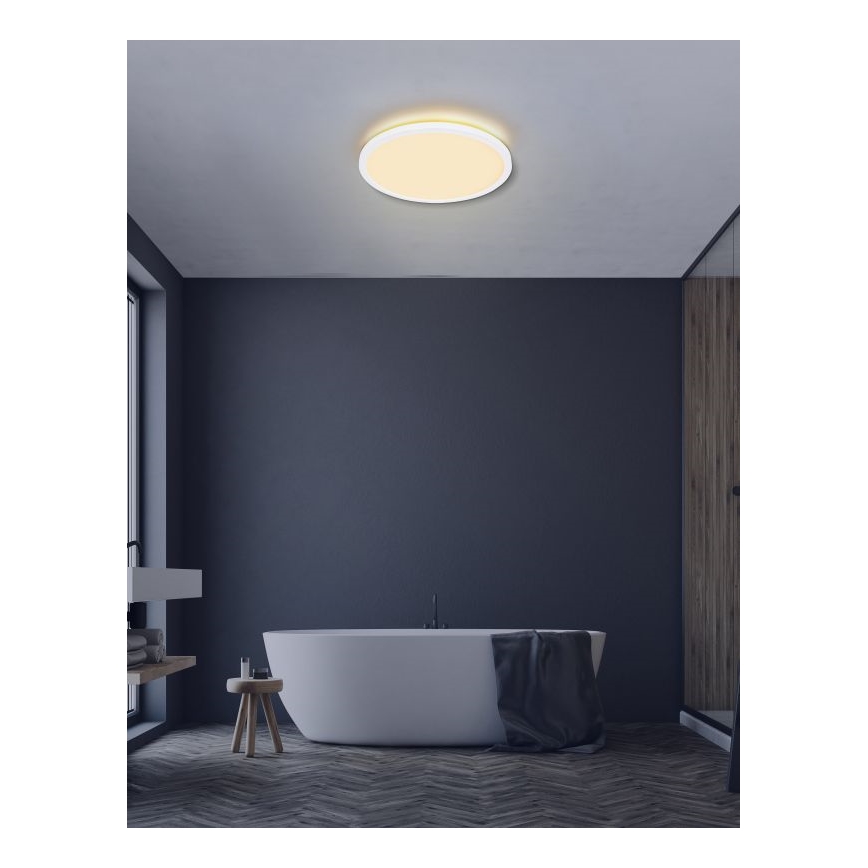 Globo - LED Dimmable bathroom ceiling light LED/24W/230V d. 42 cm IP44 white