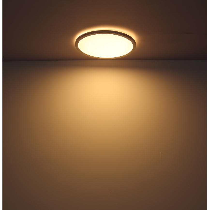 Globo - LED Dimmable bathroom ceiling light LED/24W/230V d. 42 cm IP44 white