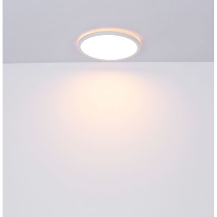 Globo - LED Dimmable bathroom ceiling light LED/24W/230V d. 42 cm IP44 white