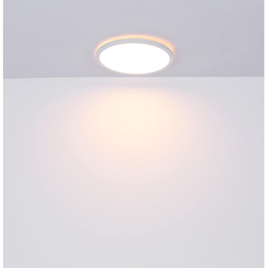 Globo - LED Dimmable bathroom ceiling light LED/24W/230V d. 42 cm IP44 white