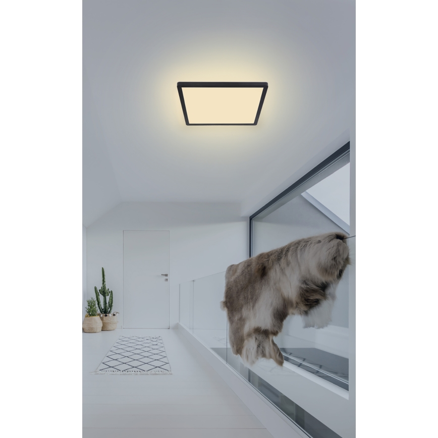 Globo - LED Dimmable bathroom ceiling light LED/18W/230V 29,4x29,4 cm IP44 black