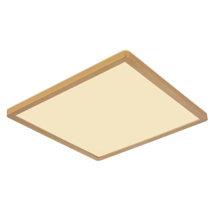 Globo - LED Dimmable bathroom ceiling light LED/18W/230V 3000K IP44 29,4x29,4 cm brass