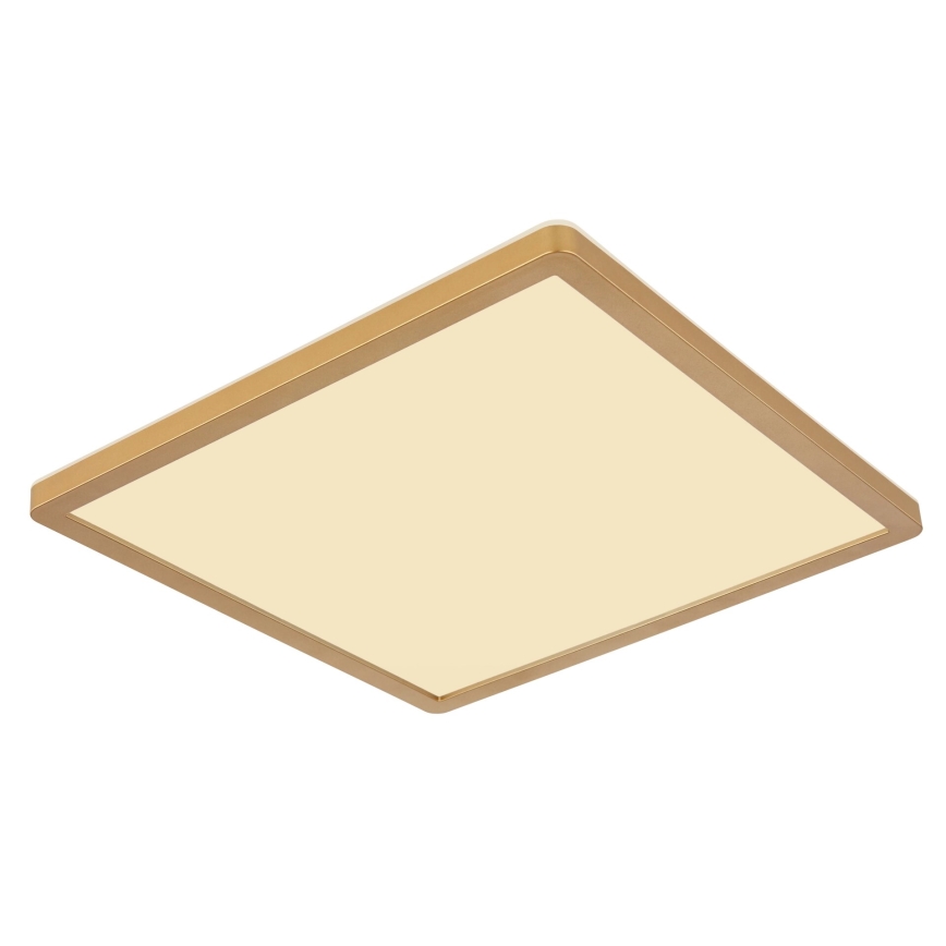 Globo - LED Dimmable bathroom ceiling light LED/24W/230V 3000K IP44 42x42 cm brass