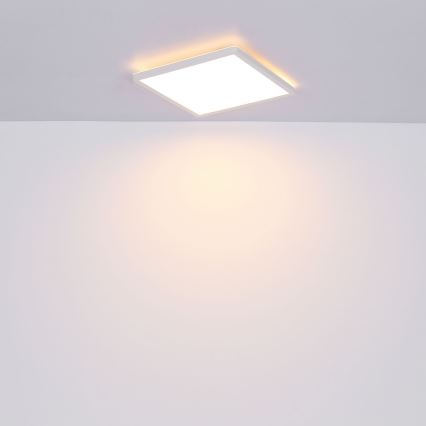 Globo - LED Dimmable bathroom ceiling light LED/24W/230V 42x42 cm IP44 white