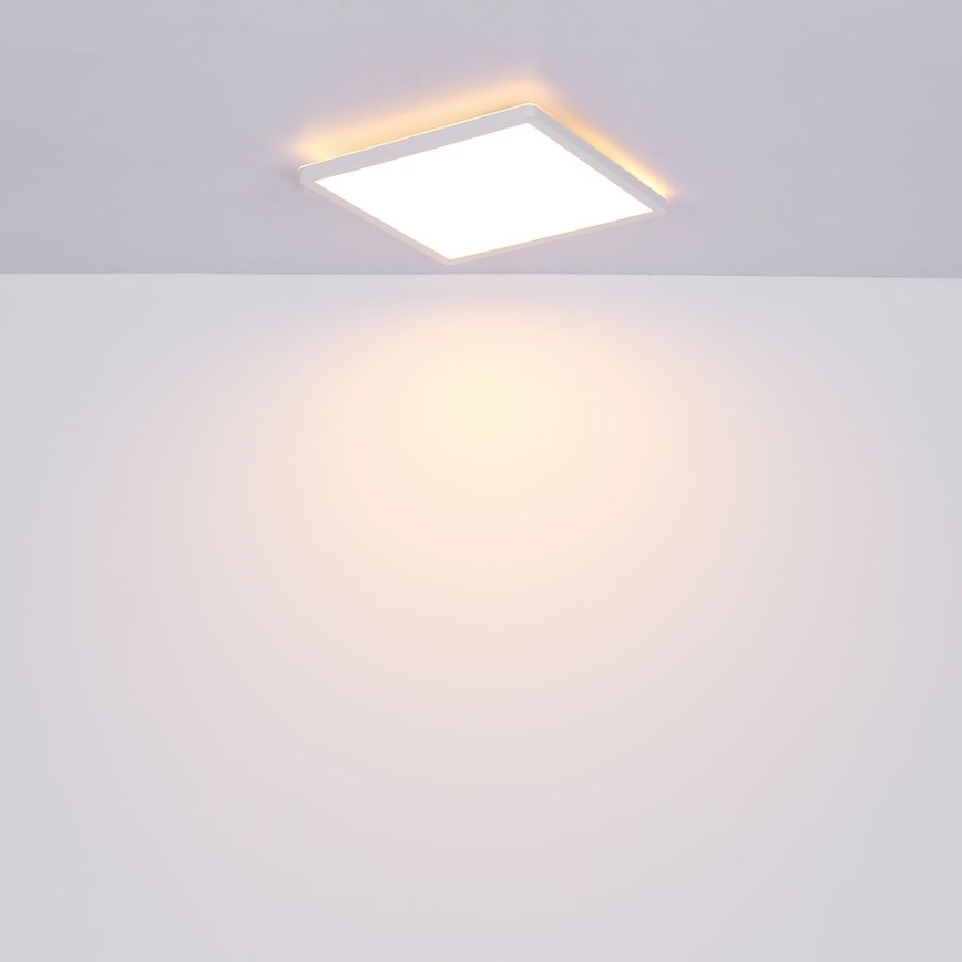 Globo - LED Dimmable bathroom ceiling light LED/24W/230V 42x42 cm IP44 white