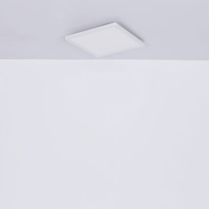 Globo - LED Dimmable bathroom ceiling light LED/24W/230V 42x42 cm IP44 white