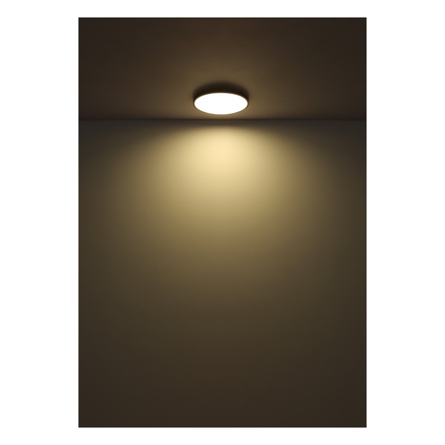 Globo - LED Ceiling light LED/32W/230V 4000K d. 40 cm black