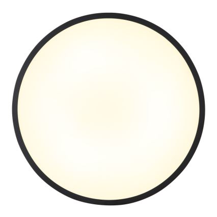 Globo - LED Ceiling light LED/32W/230V 4000K d. 40 cm black
