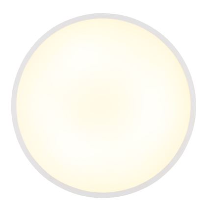 Globo - LED Ceiling light LED/32W/230V 4000K d. 40 cm white
