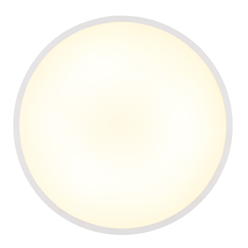 Globo - LED Ceiling light LED/32W/230V 4000K d. 40 cm white